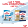 Royal Canin Maxi Puppy (Cachorro de raza grande), 15 kg. Comida para perros al mejor precio
