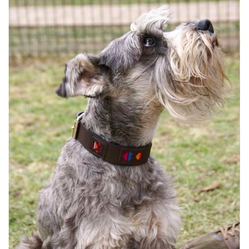 Toscano collar cuero marrón cuadritos colores talla. Collares para perros al mejor precio