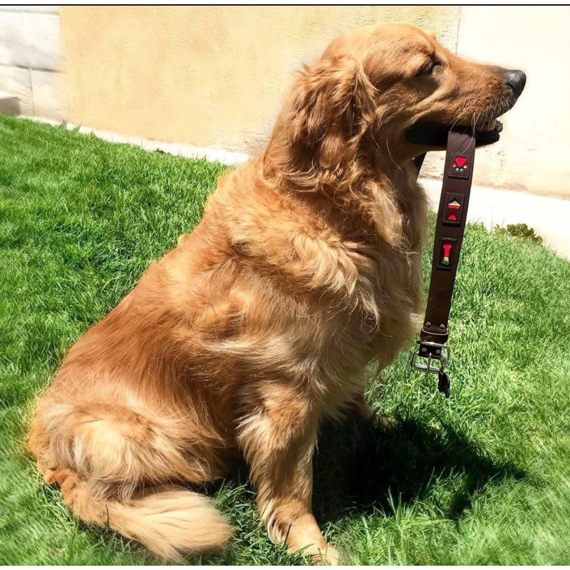 Toscano collar cuero marrón cuadritos colores talla. Collares para perros al mejor precio