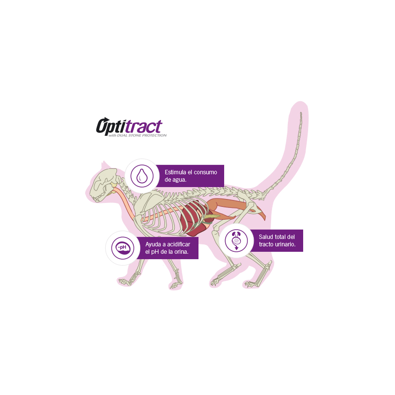 Pro Plan Gato Urinary. Alimento para gatos al mejor precio