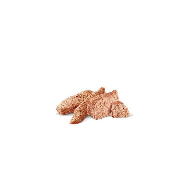 Royal Canin Gastrointestinal Lata 200 g. Comida para perros al mejor precio