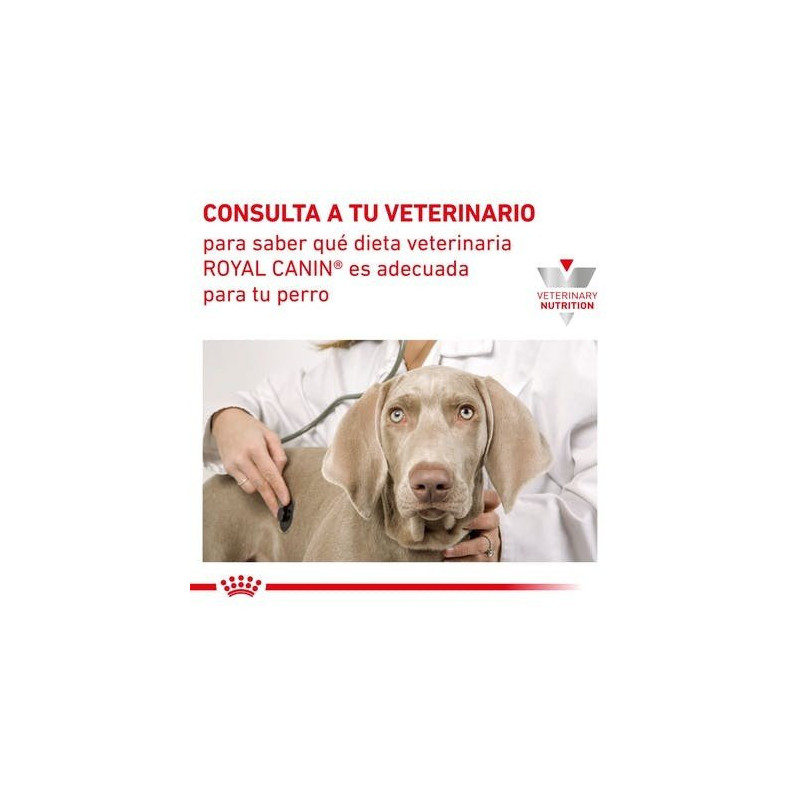 Royal Canin Gastrointestinal Lata 200 g. Comida para perros al mejor precio
