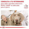 Royal Canin Gastrointestinal Lata 200 g. Comida para perros al mejor precio