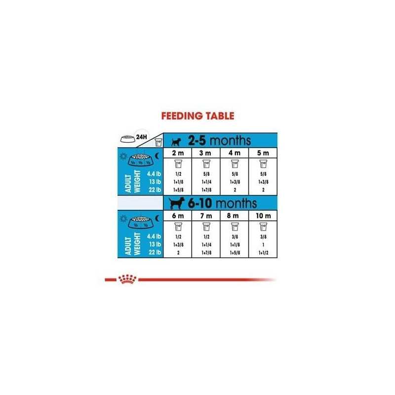 Royal Canin Mini Puppy (Cachorros razas pequeñas), 3+1 kg. Comida para perros al mejor precio