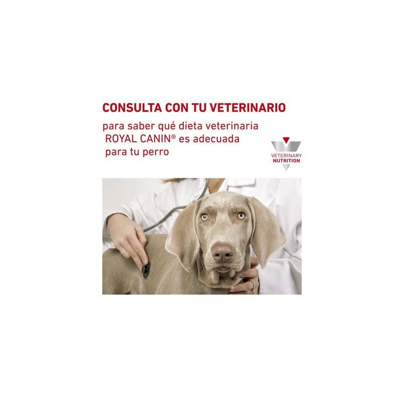 Royal Canin Hypoallergenic (Hipoalergénico) Húmedo Lata para Perro, 400 gr