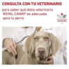 Royal Canin Hypoallergenic (Hipoalergénico) Húmedo Lata para Perro, 400 gr