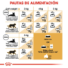 Royal Canin Persian gatos (persas adultos), 2 kg. Alimento para gatos al mejor precio